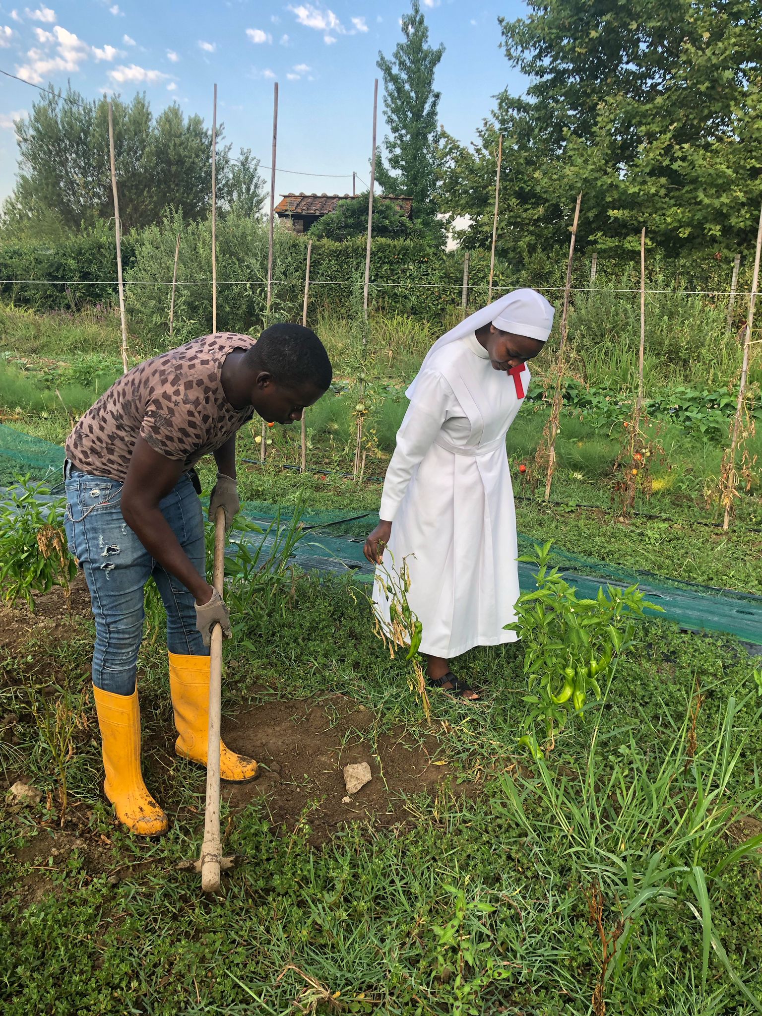2022 agosto hicsum 12 suor marielouise lucca cooperativa calafata agricoltura barbantini ministre infermi formazione misericordia viareggio spazio spadoni 5