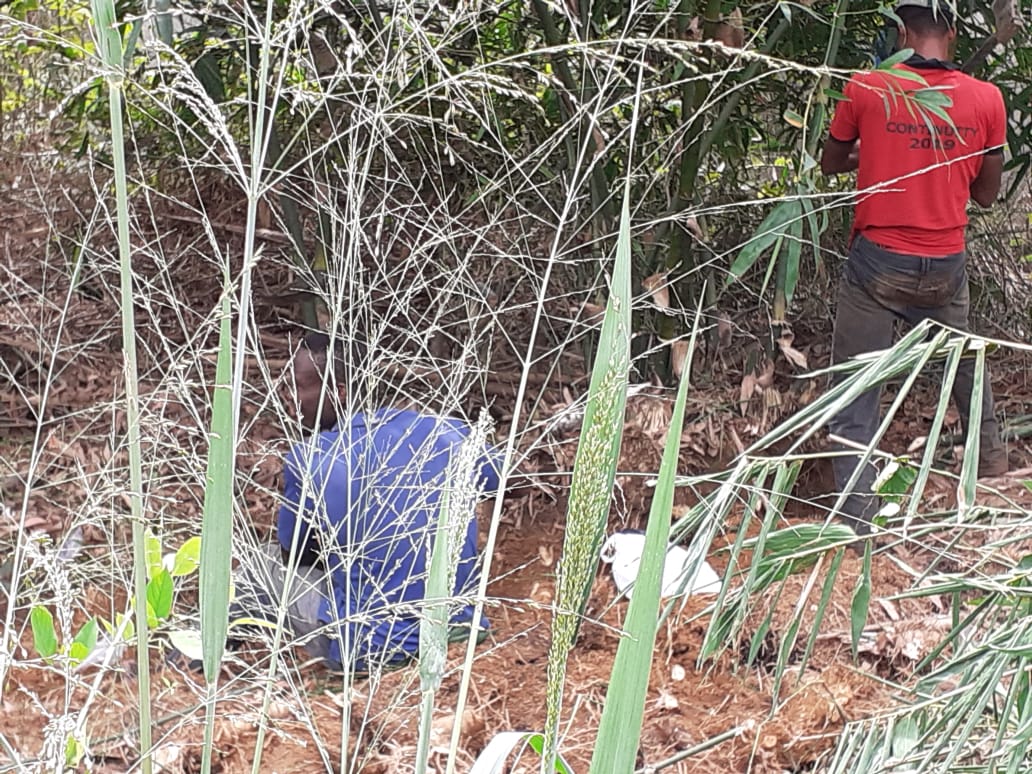 2022 aprile hic sum 2 Nigeria Uyo sr beatrice villa adriana pane misericordia agricoltura impresa sociale spazio spadoni 21