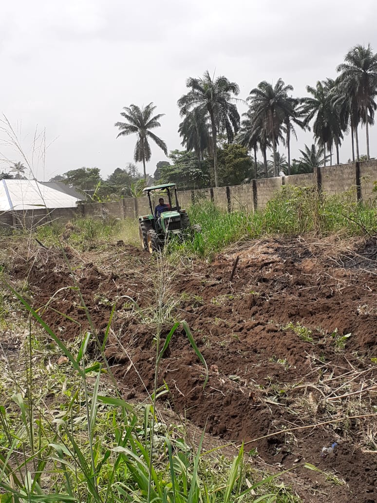 2022 aprile hic sum 2 Nigeria Uyo sr beatrice villa adriana pane misericordia agricoltura impresa sociale spazio spadoni 25