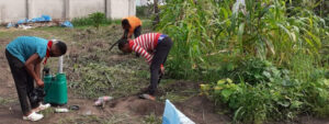 2022 aprile hic sum 2 Nigeria Uyo sr beatrice villa adriana pane misericordia agricoltura impresa sociale spazio spadoni 30.jpeg 300x113
