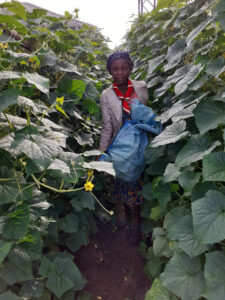2022 aprile hic sum 2 Nigeria Uyo sr beatrice villa adriana pane misericordia agricoltura impresa sociale spazio spadoni 37.jpeg 225x300