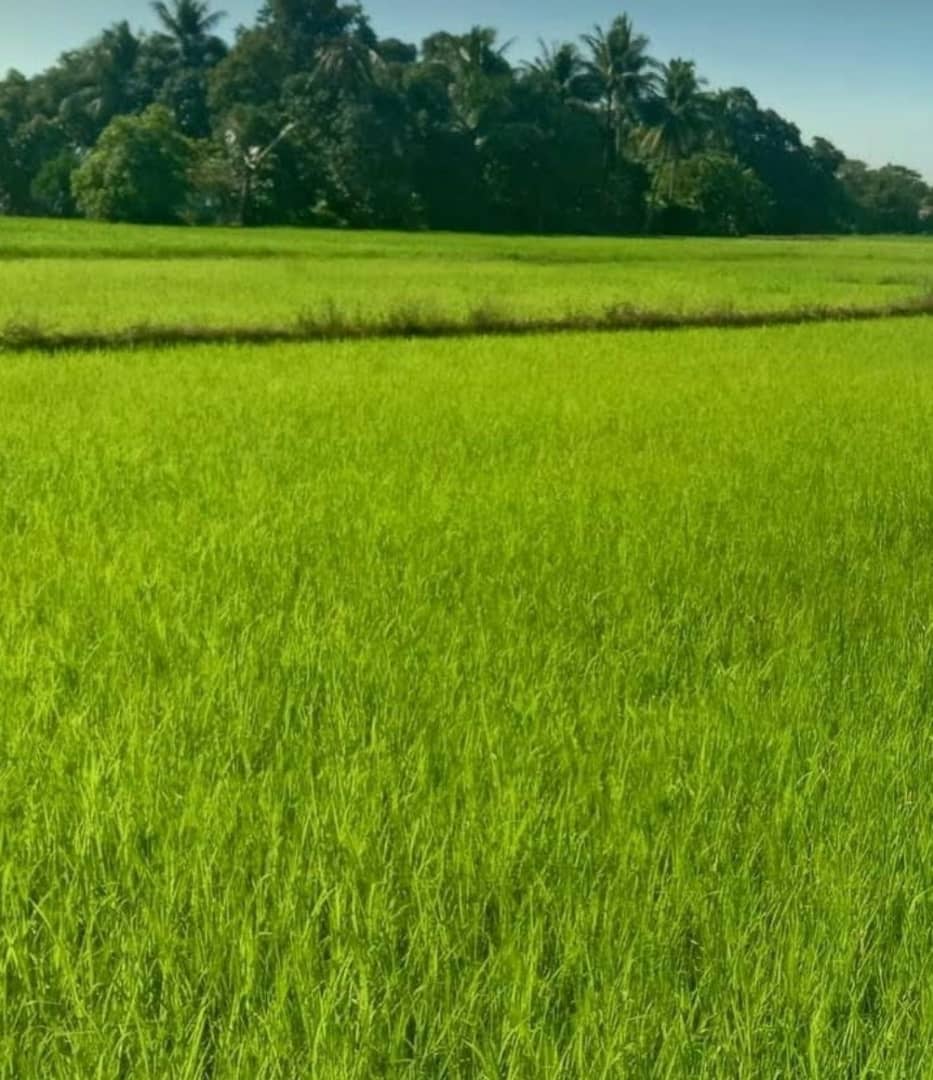 2022 febbraio nigeria idah abuja hic sum 7 suor margaret riso pane misericordia bivigliano spazio spadoni 7