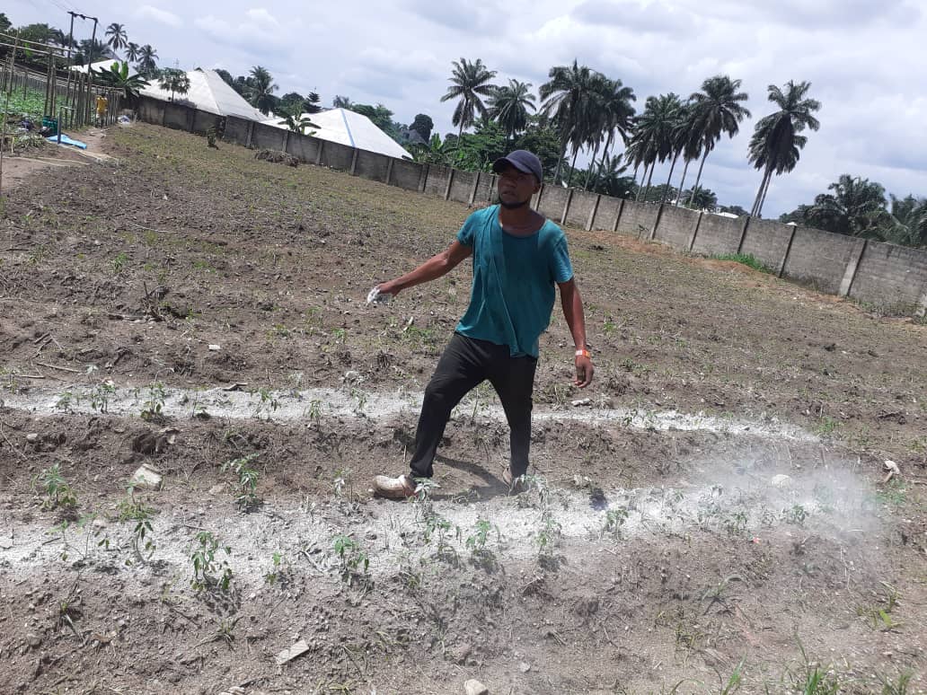 2022 giugno hic sum 2 nigeria uyo sr beatrice volontari pane misericordia agricoltura spazio spadoni 2