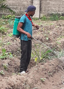 2022 giugno hic sum 2 nigeria uyo sr beatrice volontari pane misericordia agricoltura spazio spadoni 3.jpg 216x300