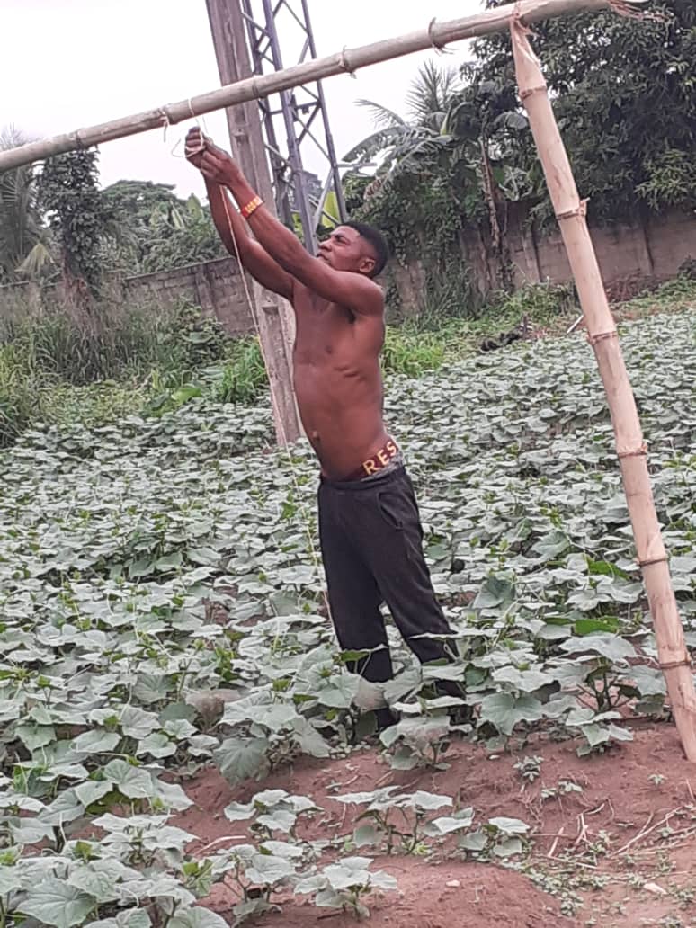 2022 giugno hic sum 2 nigeria uyo sr beatrice volontari pane misericordia agricoltura spazio spadoni 7