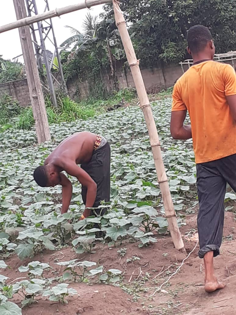 2022 giugno hic sum 2 nigeria uyo sr beatrice volontari pane misericordia agricoltura spazio spadoni 8