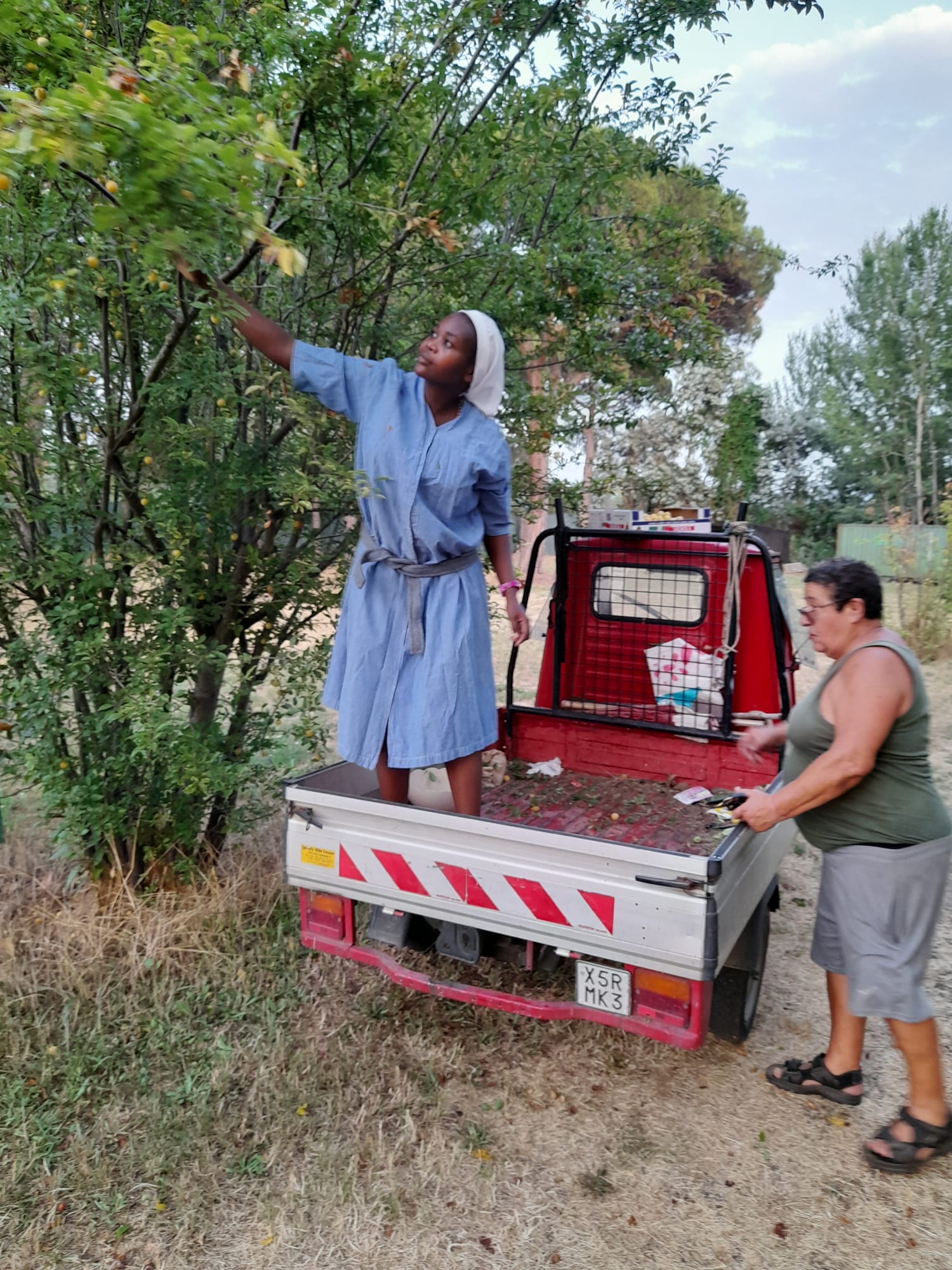 2022 giugno hicsum 12 suor marielouise italia viareggio lucca ministre infermi misericordia formazione spazio spadoni 3