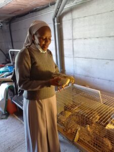 2022 hicsum 27 italia monte san savino assisi kenya spazio spadoni suor joan formazione polli pane misericordia 21 225x300