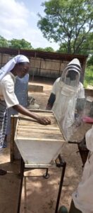 2022 novembre 3 hicsum 31 burkina faso spazio spadoni sr odette sic suore immacolata concezione formazione apicoltura 4 132x300