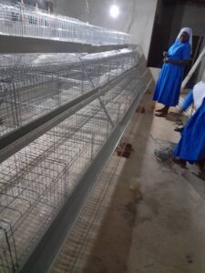 2023 hicsum 21 tanzania morogoro italia spazio spadoni misericordia acireale suor filipina pollaio impresa sociale 2 225x300