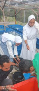 2023 luglio 8 hicsum 33 timor leste spazio spadoni italia misericordia borgo mozzano sr ansila suore figlie san francesco recupero vasche 7 131x300