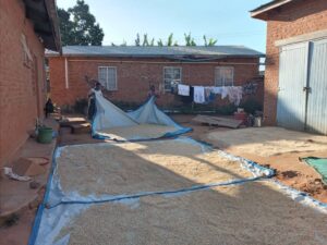 2023 luglio hicsum 23 misericordia monte san giovanni campano spazio spadoni sr oliver devotha malawi pane misericordia 2 300x225