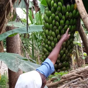 2023 maggio 10 hicsum 36 rwanda misericordia uzzano spazio spadoni suor luminatha suore dimora carita impresa sociale 2 300x300