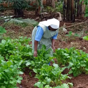 2023 maggio 10 hicsum 36 rwanda misericordia uzzano spazio spadoni suor luminatha suore dimora carita impresa sociale 3 300x300