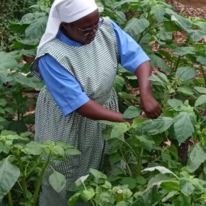 2023 maggio 10 hicsum 36 rwanda misericordia uzzano spazio spadoni suor luminatha suore dimora carita impresa sociale 300x300