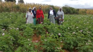 2023 ottobre molo kenya impresa sociale agricoltura suor marie louise progetto hic sum spazio spadoni 1 300x169