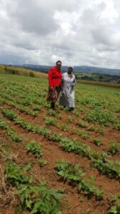 2023 ottobre molo kenya impresa sociale agricoltura suor marie louise progetto hic sum spazio spadoni 3 169x300