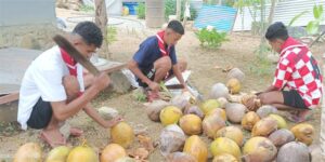 2024 gennaio 21 hicsum 33 timor leste spazio spadoni italia misericordia borgo mozzano sr ansila suore figlie san francesco volontari aiutano fare olio cocco 3 300x150