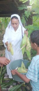 2024 marzo 17 hicsum 33 timor leste spazio spadoni italia misericordia borgo mozzano sr ansila suore figlie san francesco volontari opere misericordia promozione vocationale aiuto 9 131x300