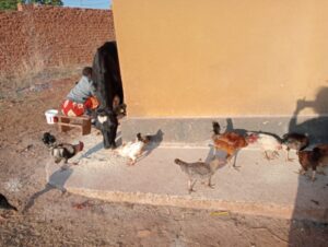 2024 novembre 25 suor maria spazio spadoni impresa sociale tanzania progetto hic sum 3 300x226