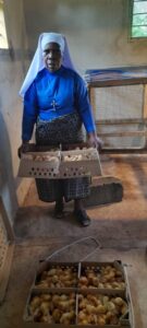 2025 aprile suor filipina tanzania impresa sociale allevamento polli progetto hic sum spazio spadoni 2 135x300
