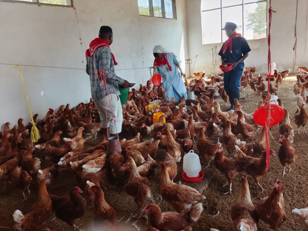 2025 dicembre 11 suorLeah tanzania polli pollaio impresa sociale progetto hic sum foulard spazio spadoni 3