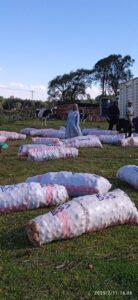2025_febbraio_molo_kenya_imoresa_sociale_raccolta_patate_agricoltura_suor_marie_louise_spazio_spadoni (2)