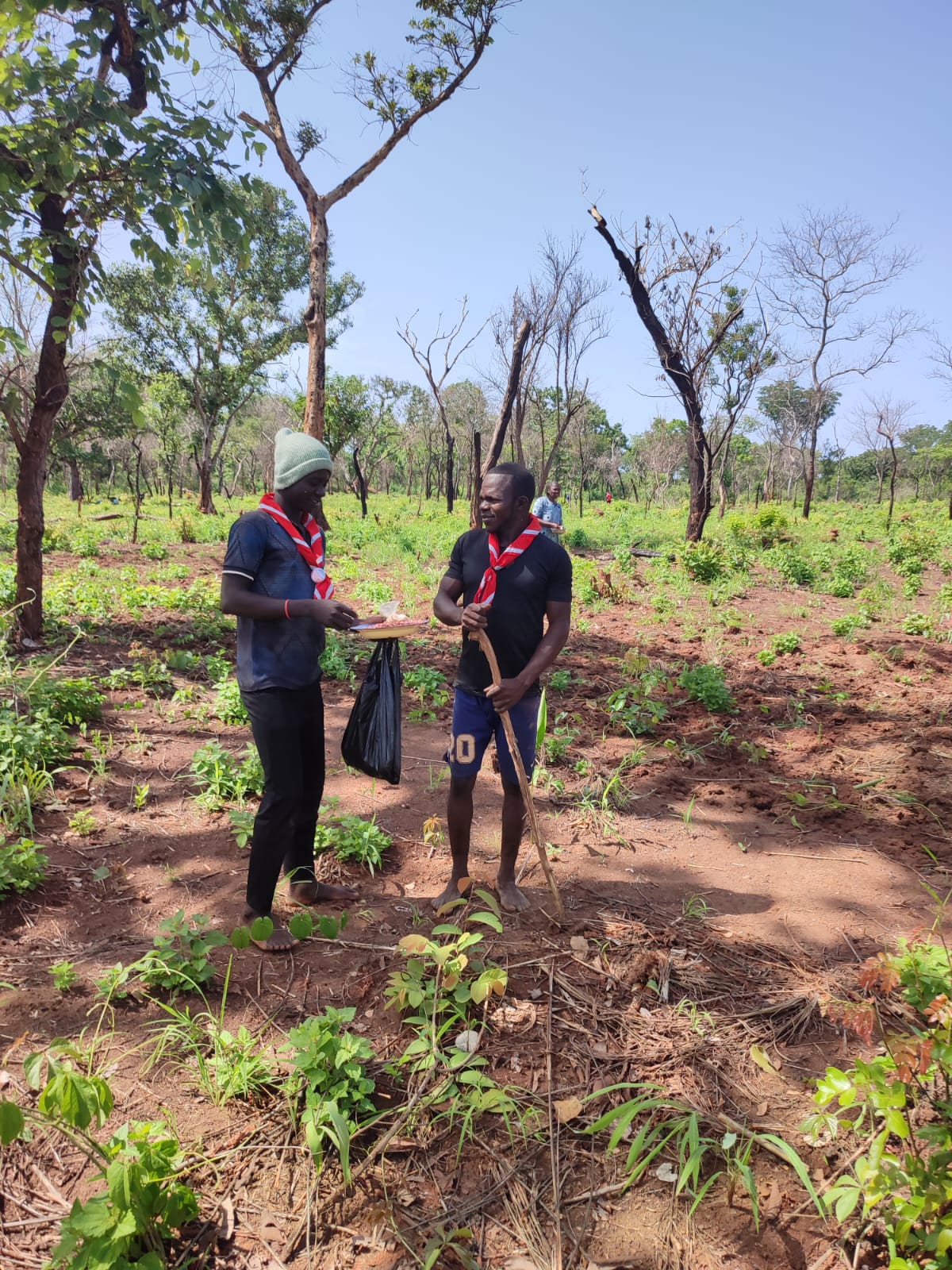 2025 juin 6 récolte bénévoles arachides sœur myriam spazio + spadoni centrafrique 5
