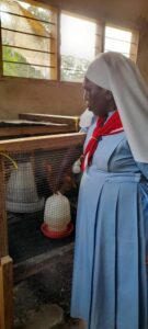 2025 marzo pane misericordia suor filipina tanzania allevamento polli progetto hic sum spazio spadoni 2 135x300