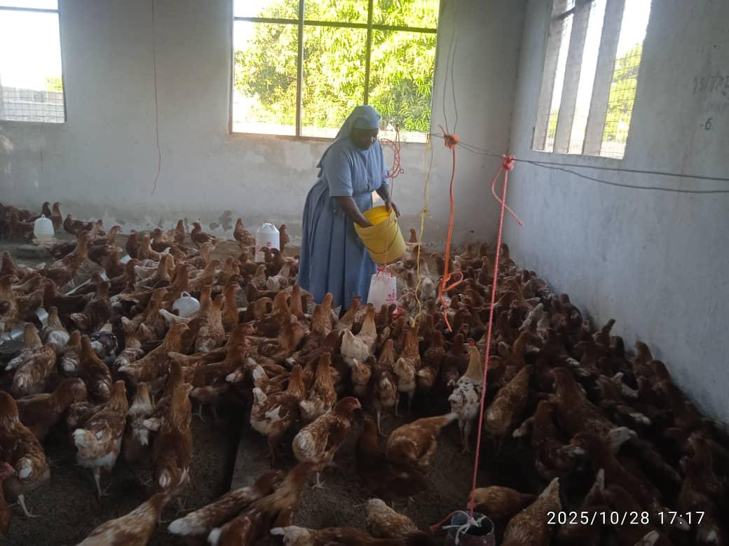 2025 ottobre 18 suor leah impresa sociale polli progetto hic sum spazio spadoni 3
