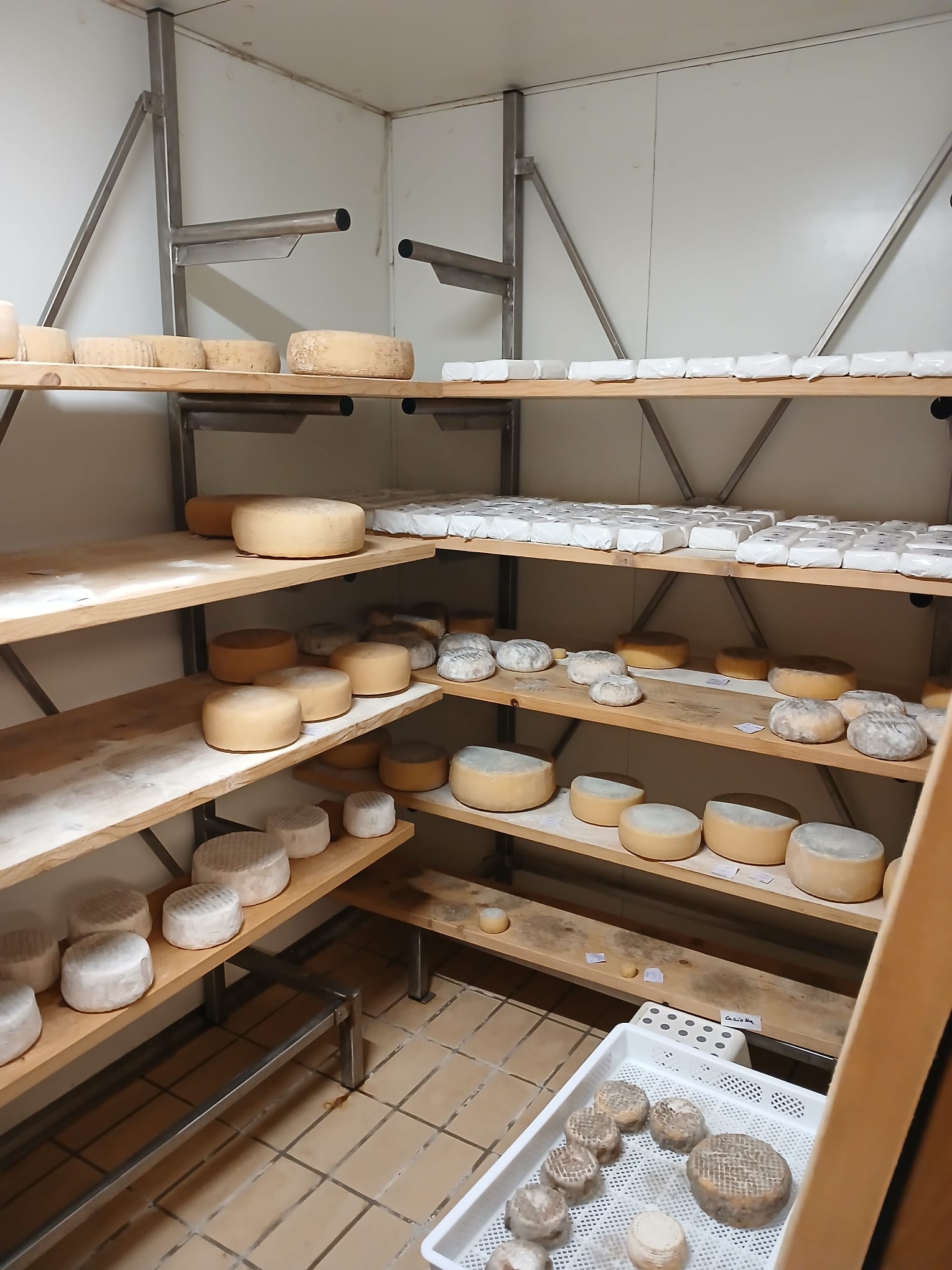 2025 ottobre 8 formazione suor blandina firenzuola casaificio formaggi progetto hic sum spazio spadoni 6