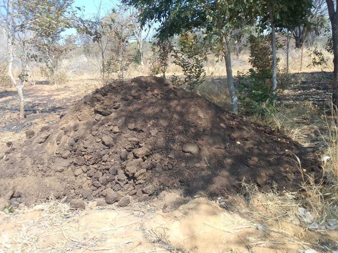 2025 septembre 25 zimbabwe sœur bernadette spazio + spadoni projet hic sum œuvres de miséricorde agriculture sœur tracteur 7