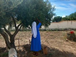2025 settembre 30 suor Marie Louise misericordia portopalo repubblica democratica congo raccolta olive formazione spazio spadoni hic sum 3 300x225