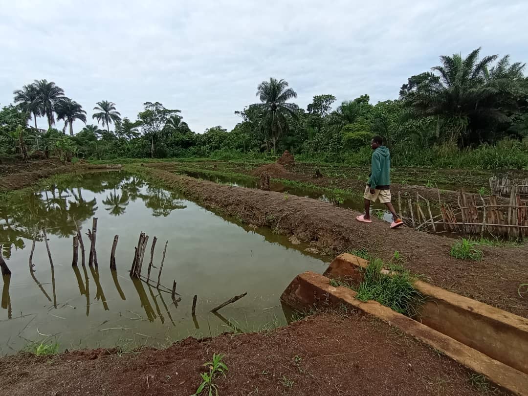 2026 aprile progetto piscicoltura congo suor elisabeth spazio spadoni hic sum 1