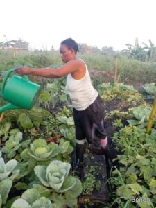 24 04 2024 attività agricoltura sr yvette piantato 3 tipi (8)