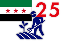 Progetto Hic Sum Siria