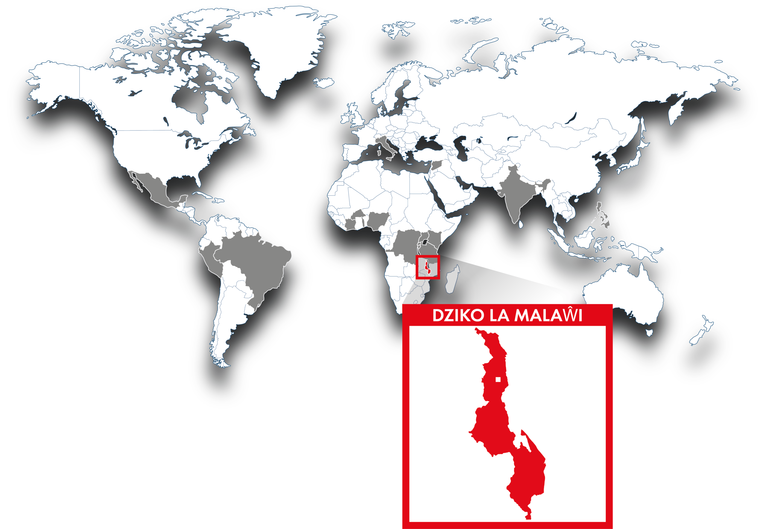 hicsum 23 malawi spaziospadoni 2 150x150