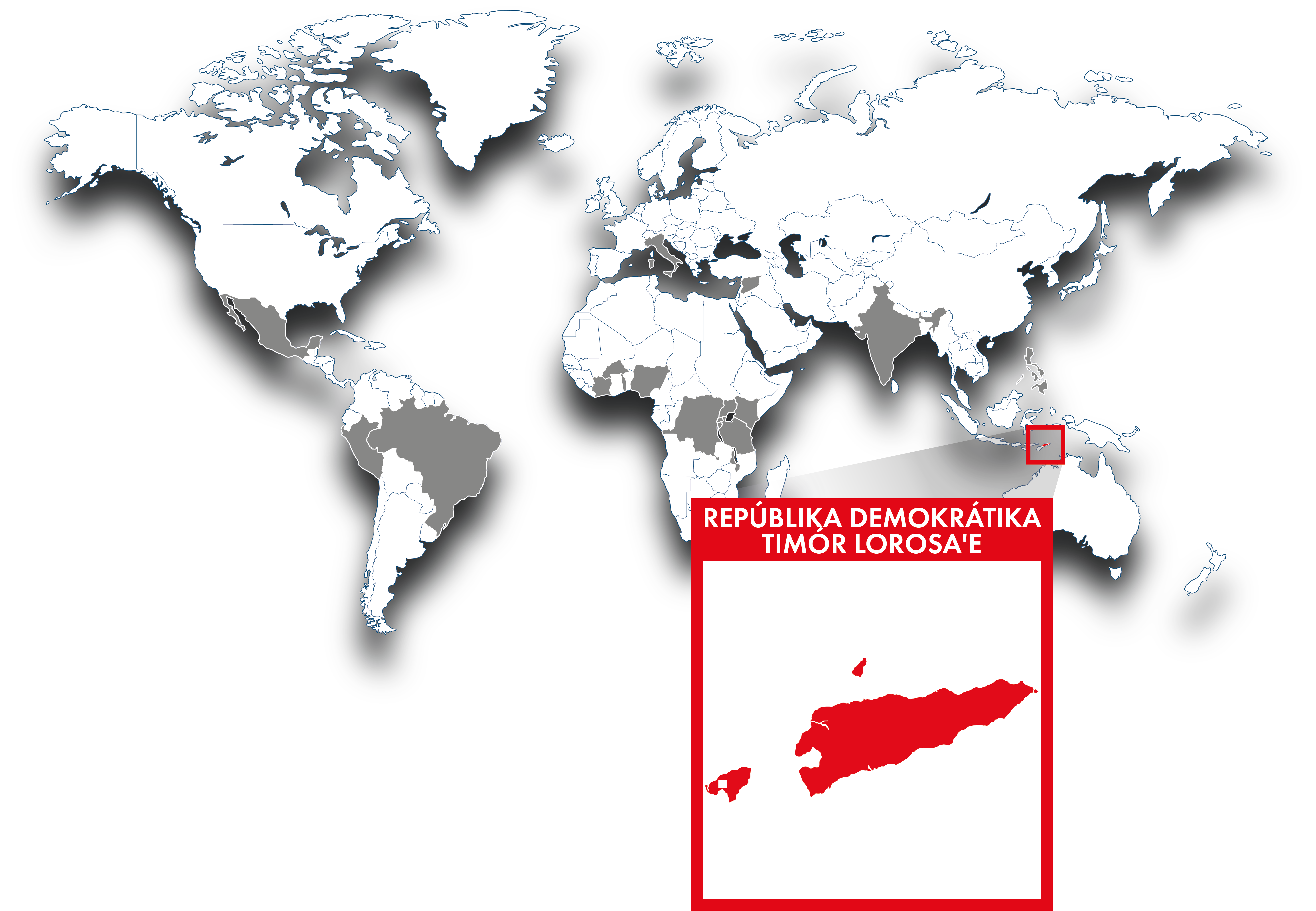 hicsum 33 timor est spaziospadoni 400x277