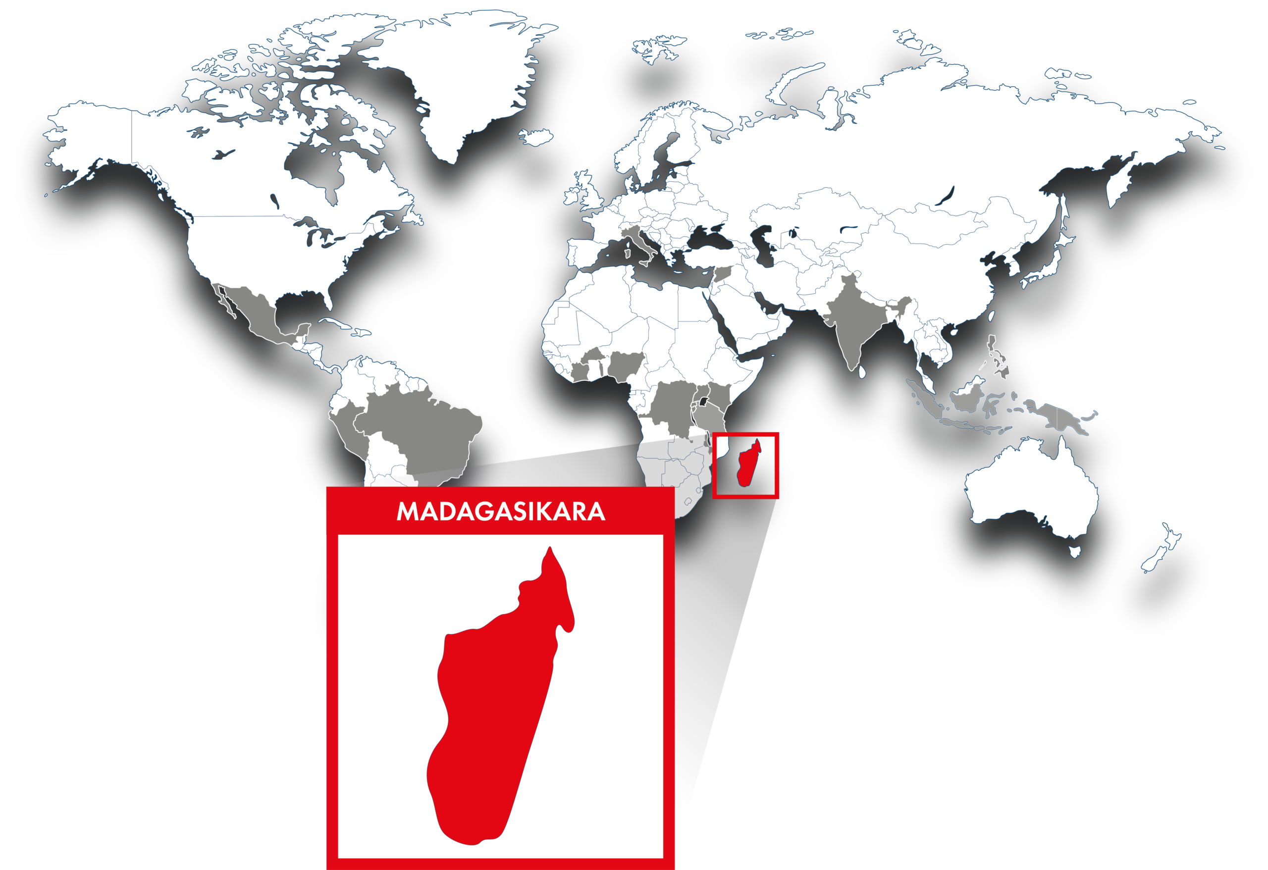 hicsum 45 madagascar spaziospadoni 400x274