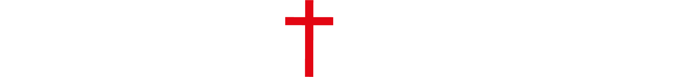 Logo spazio + spadoni