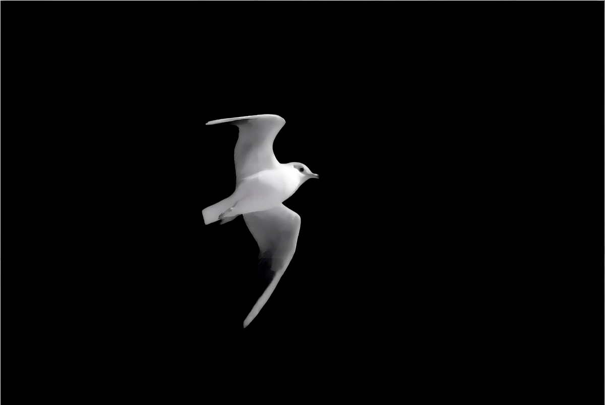 Photo by Stefano Trane Protopapa
